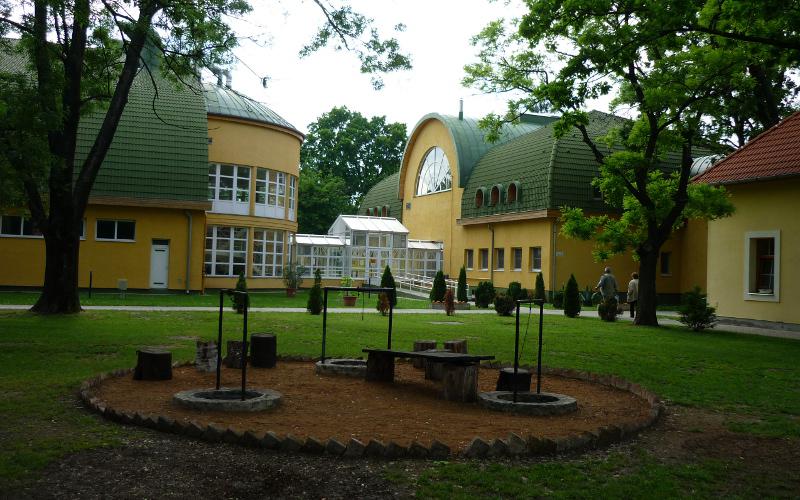 ligetikemping