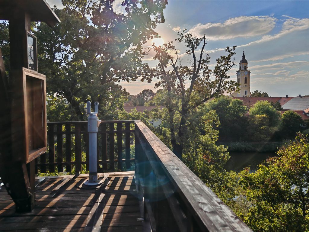 lombkorona